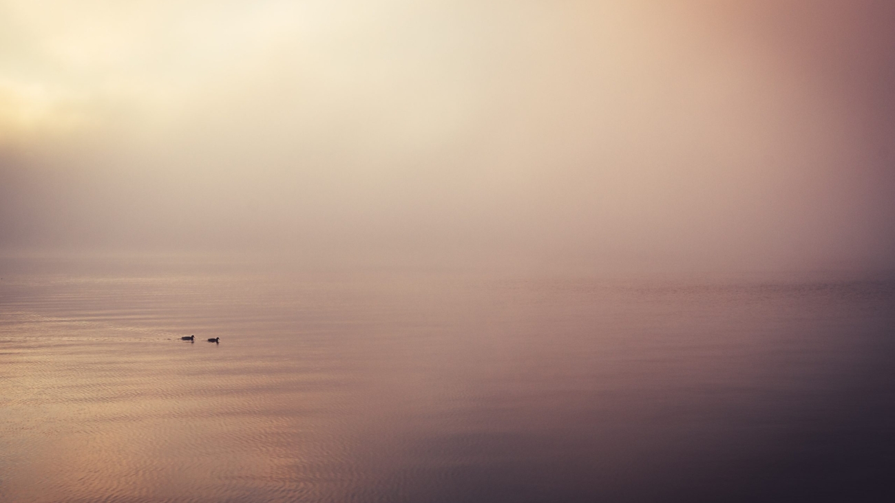 evi-t-amNI2BZ7Xio-unsplash